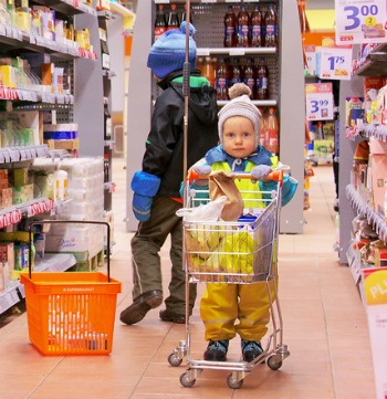 shopping for personal lines insurance