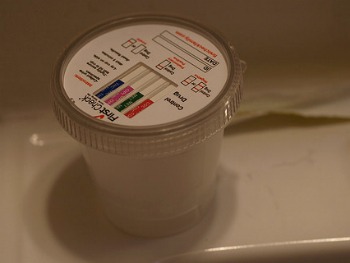 drug testing requirements for professional drivers